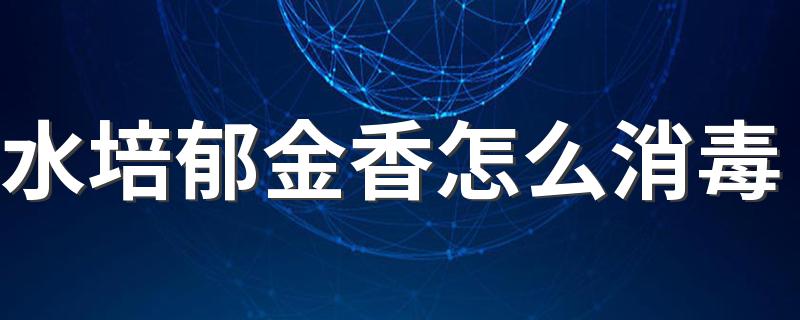 水培郁金香怎么消毒 水培郁金香的技巧