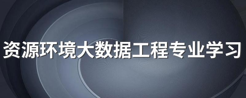 资源环境大数据工程专业学习什么课程
