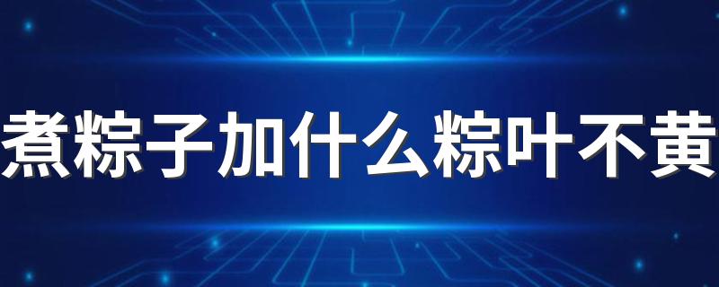 煮粽子加什么粽叶不黄 煮粽子注意事项