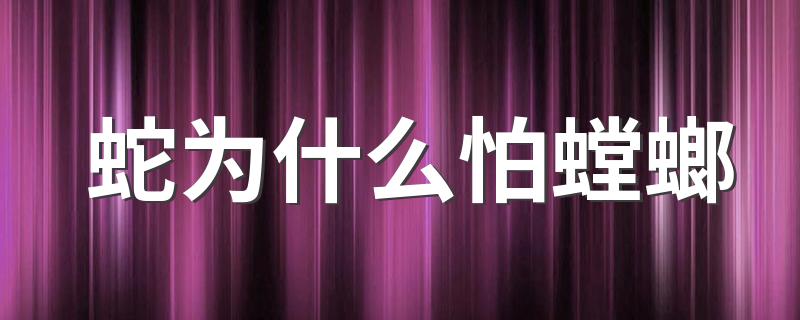 蛇为什么怕螳螂 蛇为什么打不过螳螂