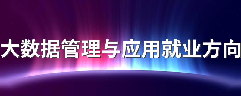 大数据管理与应用就业方向 有什么岗位