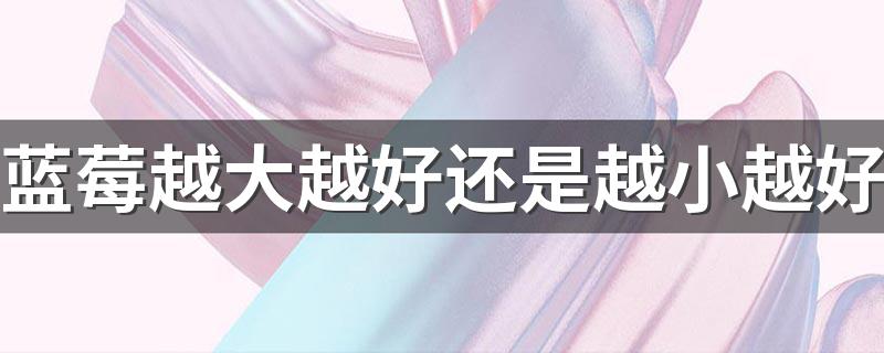 蓝莓越大越好还是越小越好 蓝莓的大小有什么区别