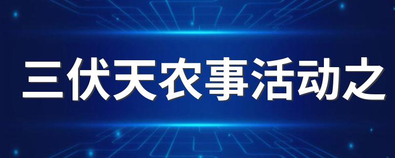 三伏天农事活动之 初伏可以种什么菜