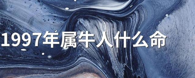 1997年属牛人什么命 什么属相跟属牛的人最不合