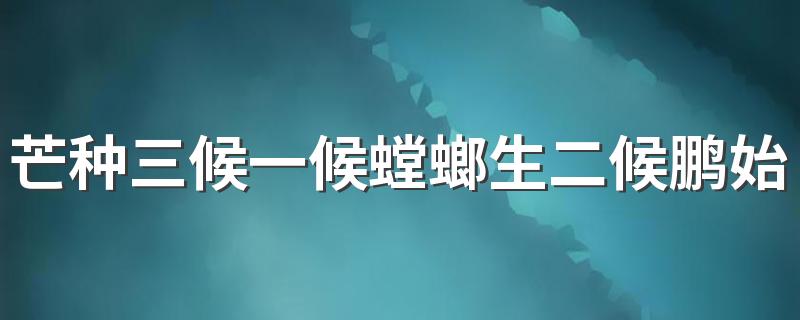 芒种三候一候螳螂生二候鹏始鸣三候反舌无声