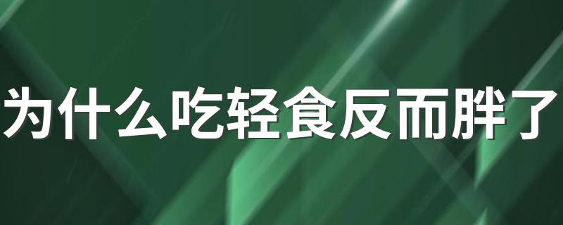 为什么吃轻食反而胖了 减肥只能吃轻食吗