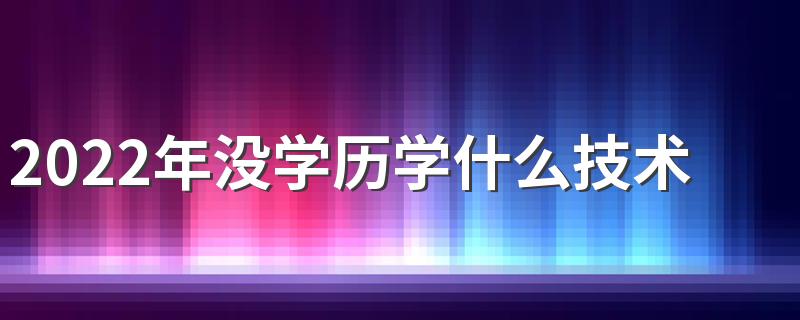 2022年没学历学什么技术好 适合学哪些一技之长