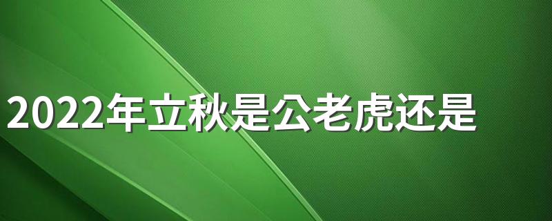 2022年立秋是公老虎还是母老虎 立秋是不是夏天结束了