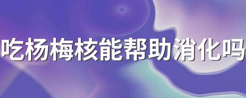 吃杨梅核能帮助消化吗 杨梅核吃了能促进肠道蠕动吗