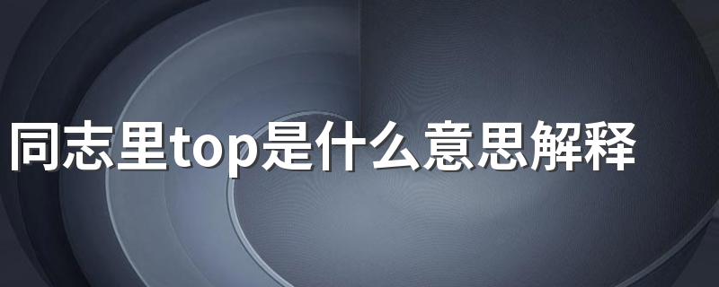 同志里top是什么意思解释一下