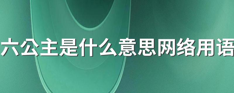 六公主是什么意思网络用语