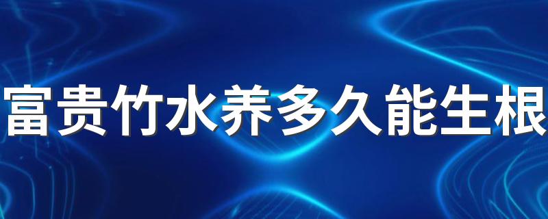 富贵竹水养多久能生根 富贵竹怎么能快速的泡出根来