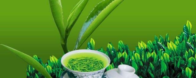 魁什么茶叶