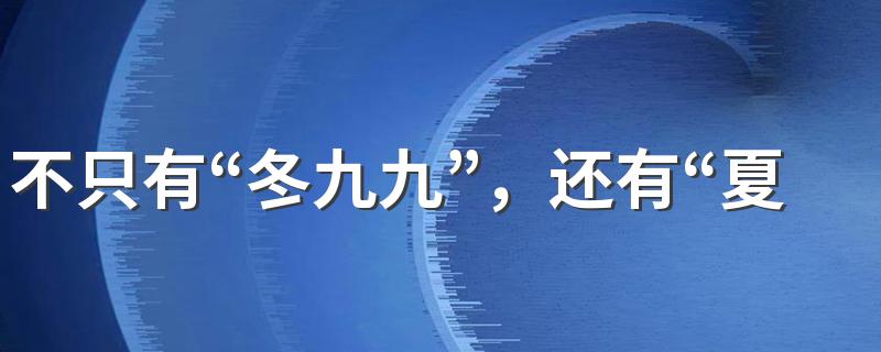 不只有“冬九九”，还有“夏至九九歌”
