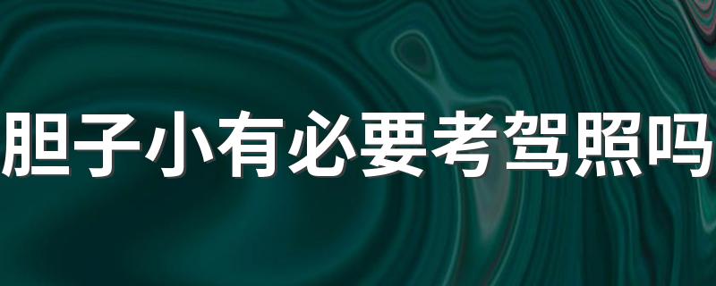 胆子小有必要考驾照吗 考驾驶证的必要性