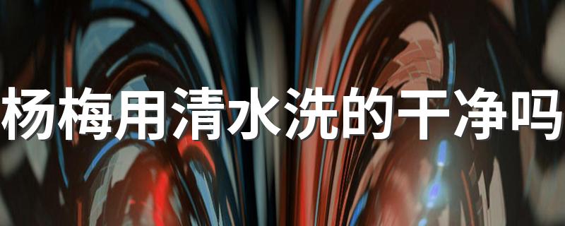 杨梅用清水洗的干净吗 如何清洗杨梅