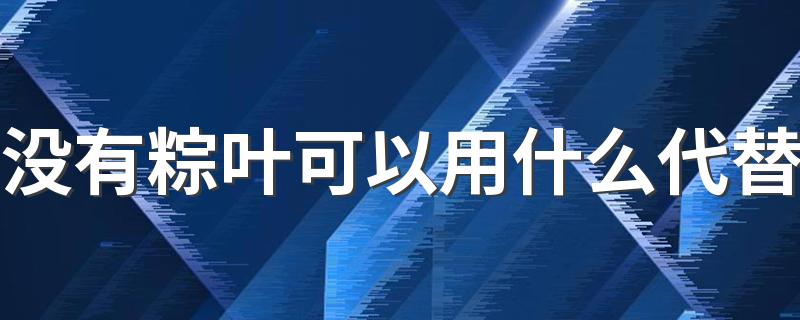 没有粽叶可以用什么代替 包粽子一定要用粽叶包吗