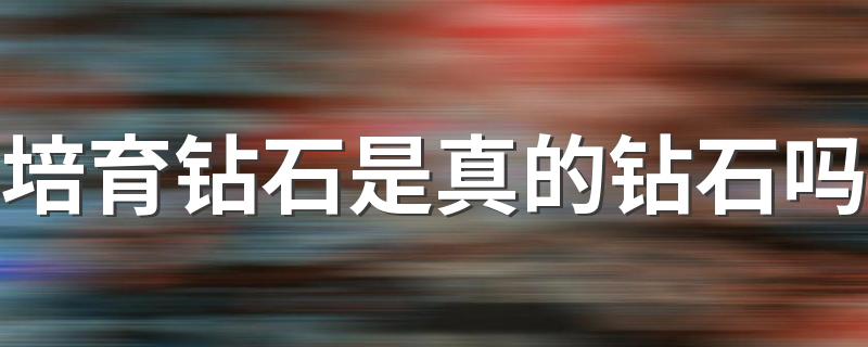 培育钻石是真的钻石吗 培育钻石和天然钻石有什么区别