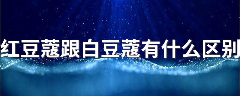 红豆蔻跟白豆蔻有什么区别