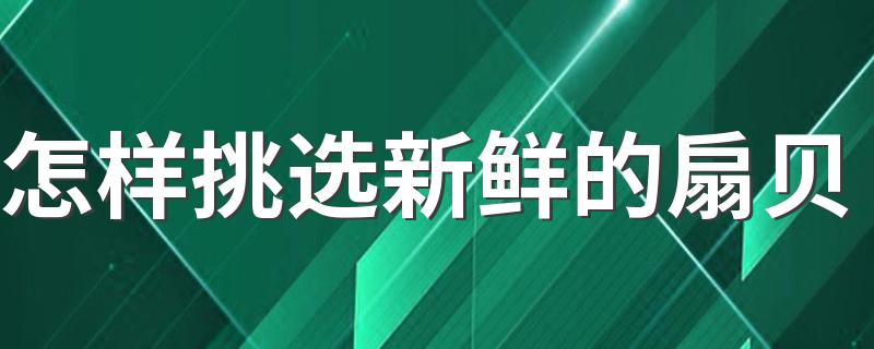 怎样挑选新鲜的扇贝 扇贝怎么清洗干净