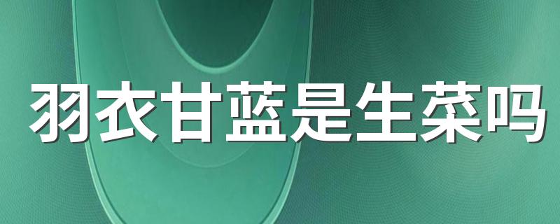 羽衣甘蓝是生菜吗 哪里有食用羽衣甘蓝