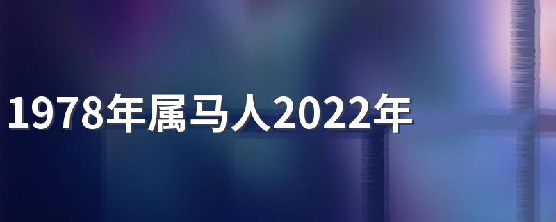 1978年属马人2022年整体运势好吗 78年属马10月份运程