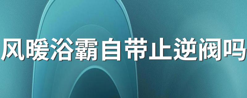 风暖浴霸自带止逆阀吗 卫生间止逆阀有用吗
