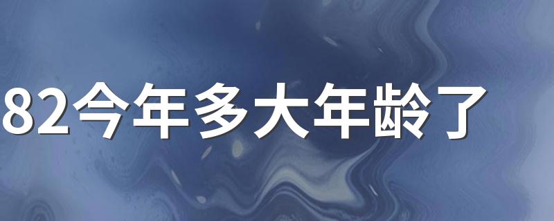 82今年多大年龄了 82年属狗在2022年是个劫吗