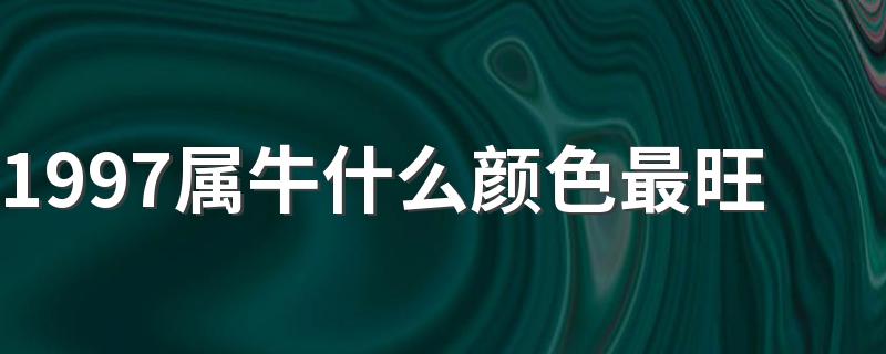 1997属牛什么颜色最旺 属牛人忌什么颜色