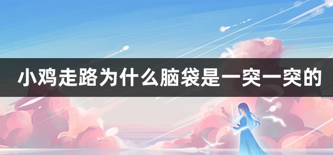 小鸡走路为什么脑袋是一突一突的