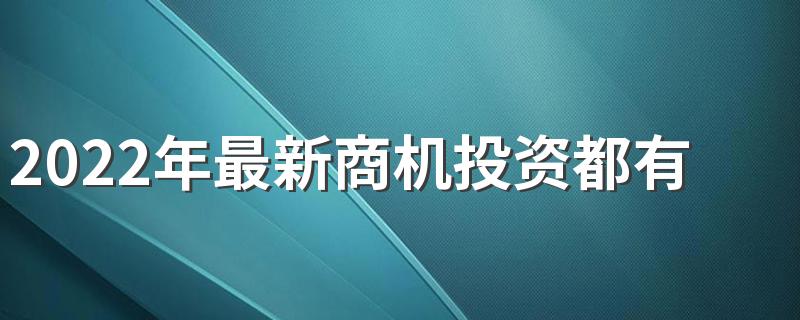 2022年最新商机投资都有哪些