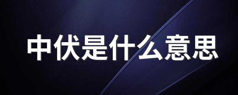 中伏是什么意思 热不热如何养生