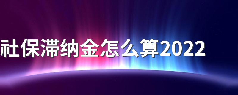社保滞纳金怎么算2022 社保滞纳金可以在所得税前扣除吗