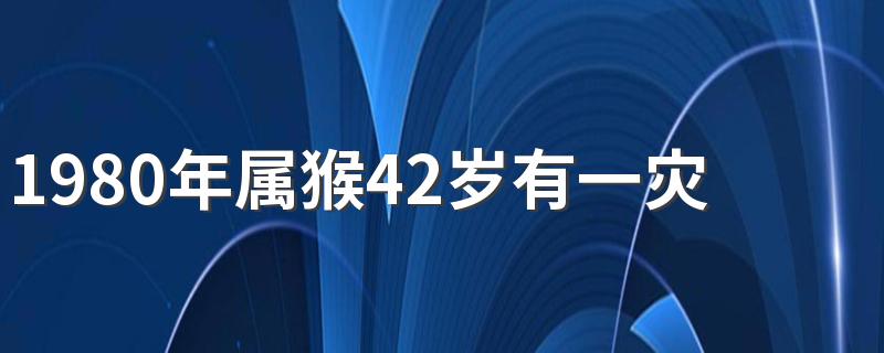 1980年属猴42岁有一灾吗 1980年属猴人42岁有什么劫难