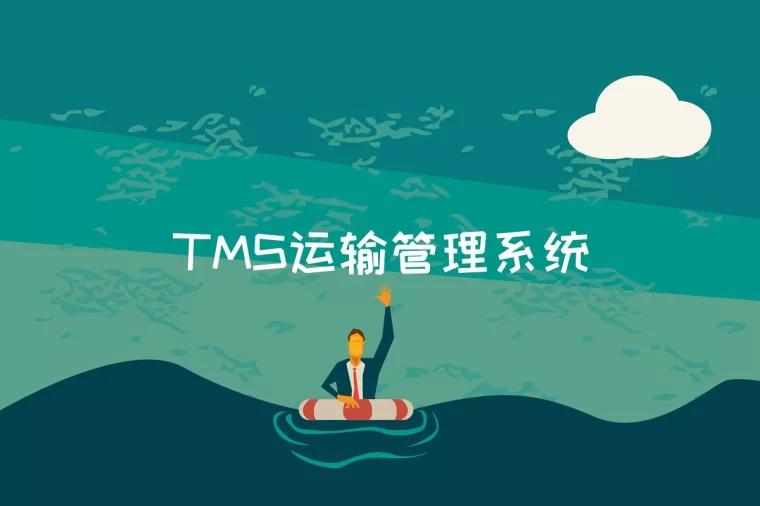 TMS运输管理系统是什么