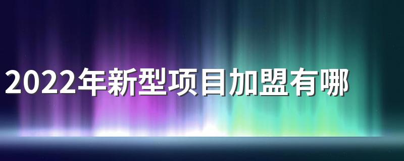 2022年新型项目加盟有哪些