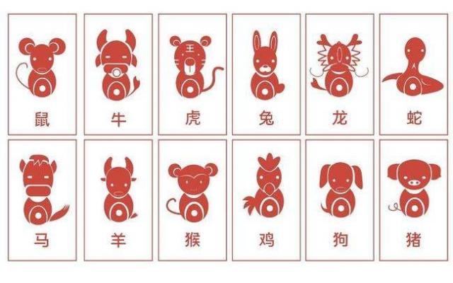 白衣天使是指什么生肖