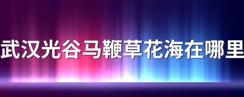 武汉光谷马鞭草花海在哪里