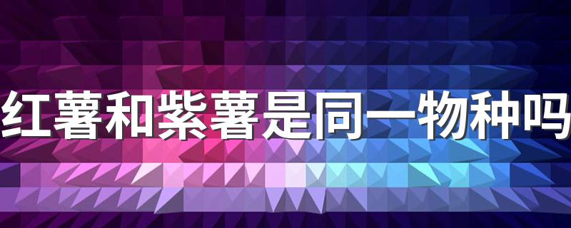 红薯和紫薯是同一物种吗