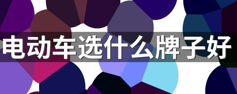 电动车选什么牌子好