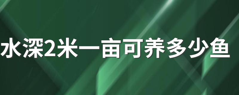 水深2米一亩可养多少鱼