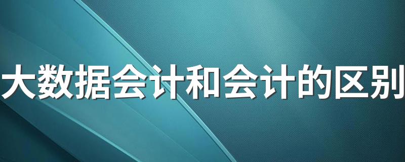 大数据会计和会计的区别
