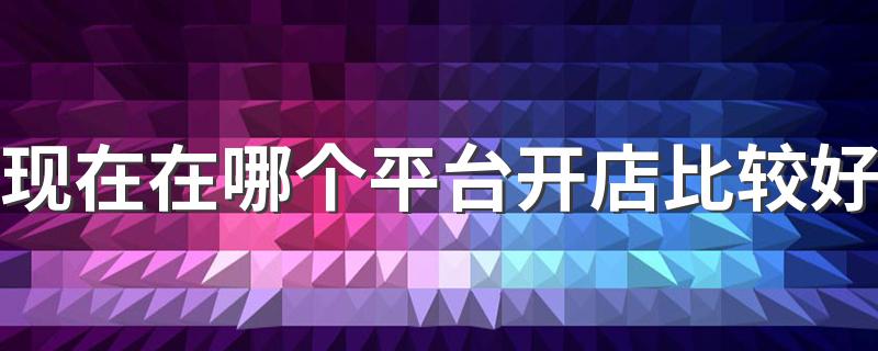 现在在哪个平台开店比较好