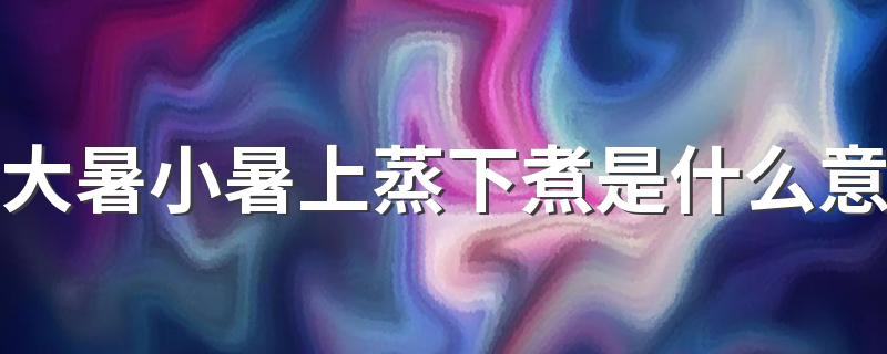 大暑小暑上蒸下煮是什么意