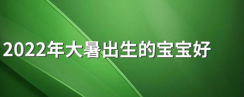2022年大暑出生的宝宝好不好