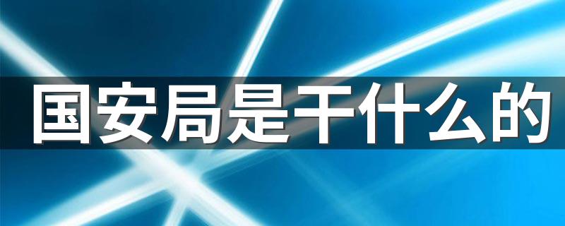 国安局是干什么的