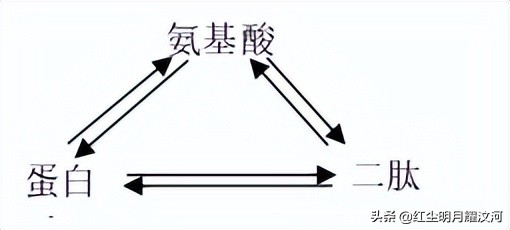 高考难点突破：解决有机合成的常见技巧