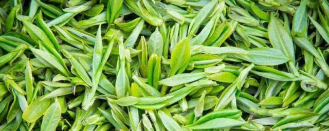 福安什么茶叶