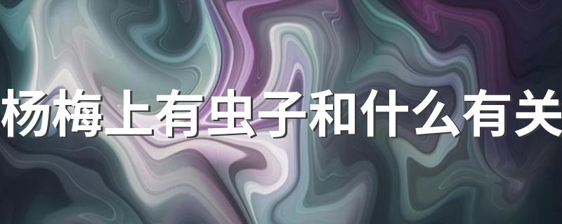 杨梅上有虫子和什么有关