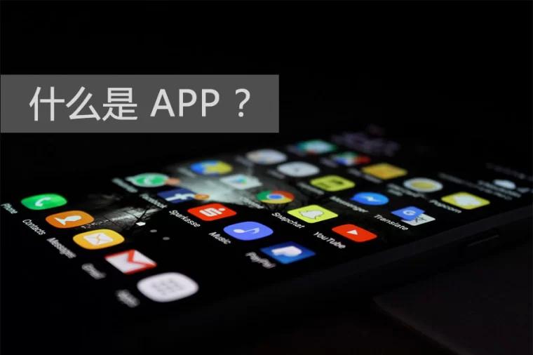 app 是什么意思